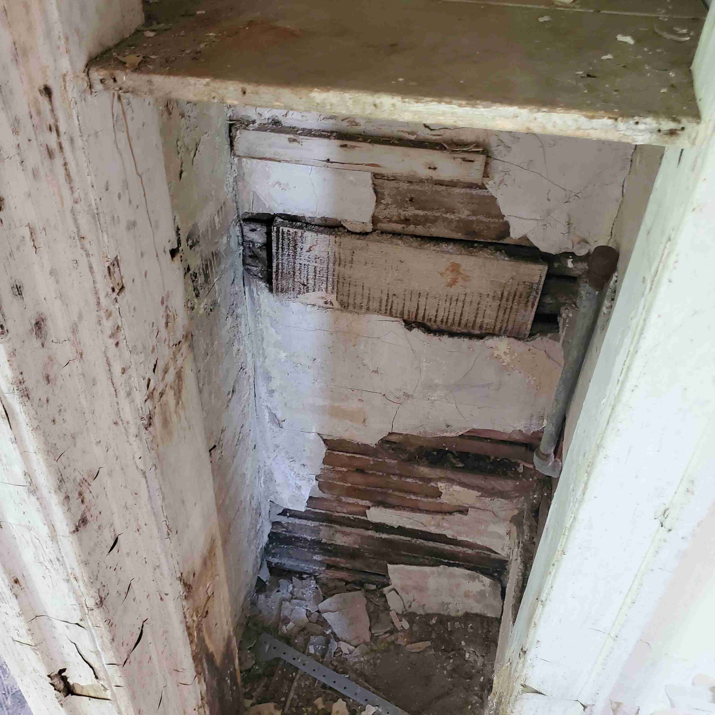 20200812_130458 (2).jpg